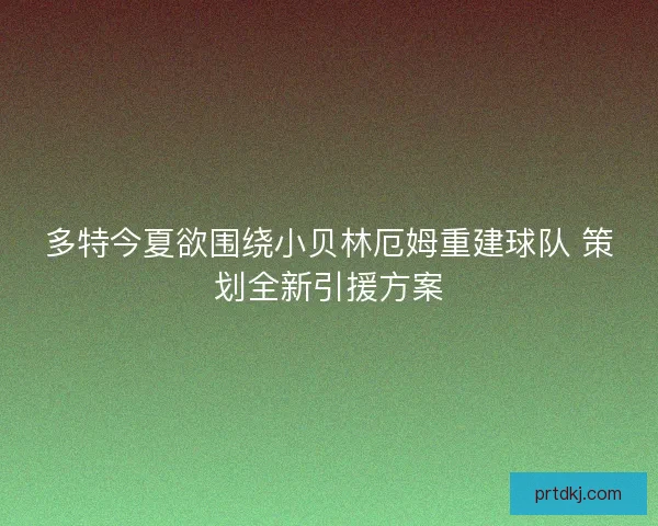 多特今夏欲围绕小贝林厄姆重建球队 策划全新引援方案