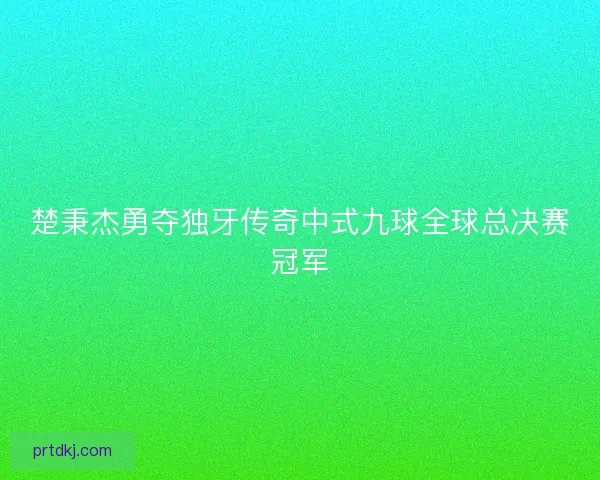 楚秉杰勇夺独牙传奇中式九球全球总决赛冠军